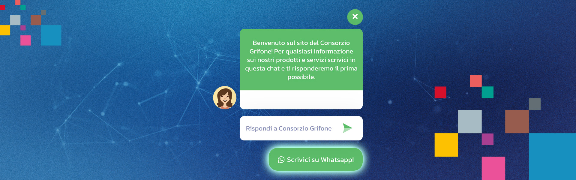 Da oggi sul nostro sito è attiva anche la chat WhatsApp